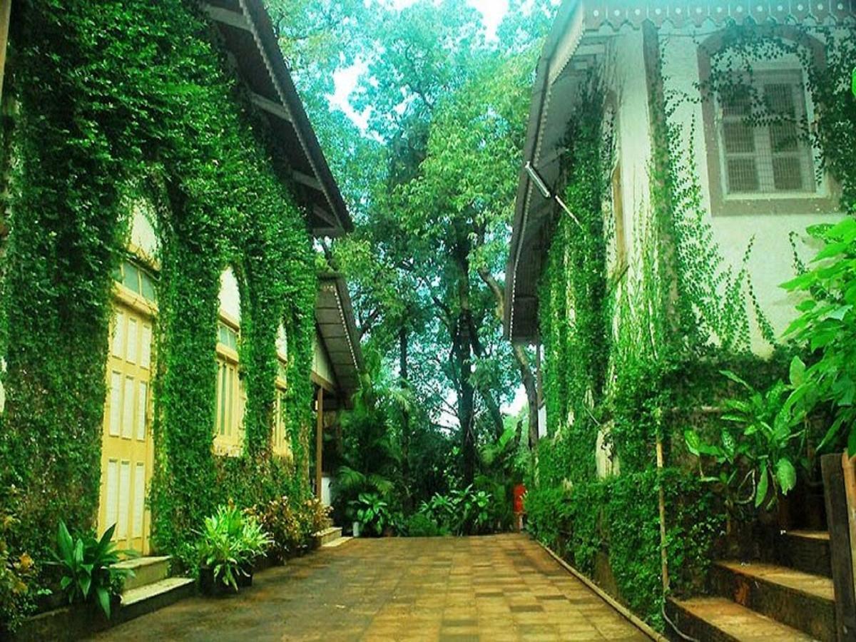 ماتيرن Cecil Hotel المظهر الخارجي الصورة